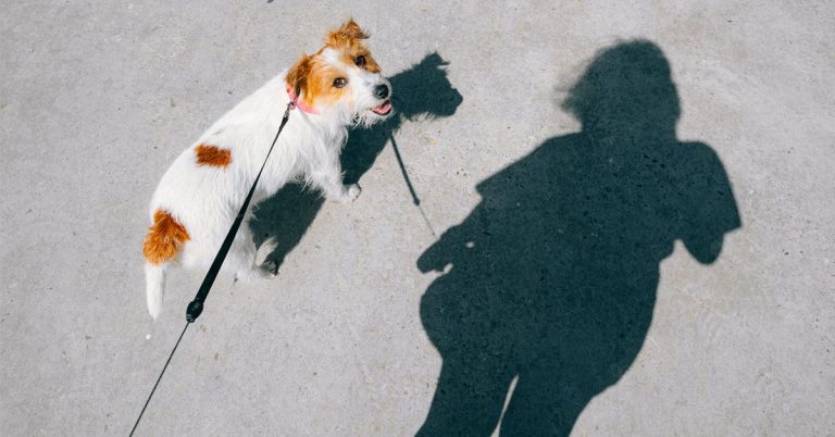 Fart Walking May Promote Digestive Health, Lower Diabetes Risk. Here’s How